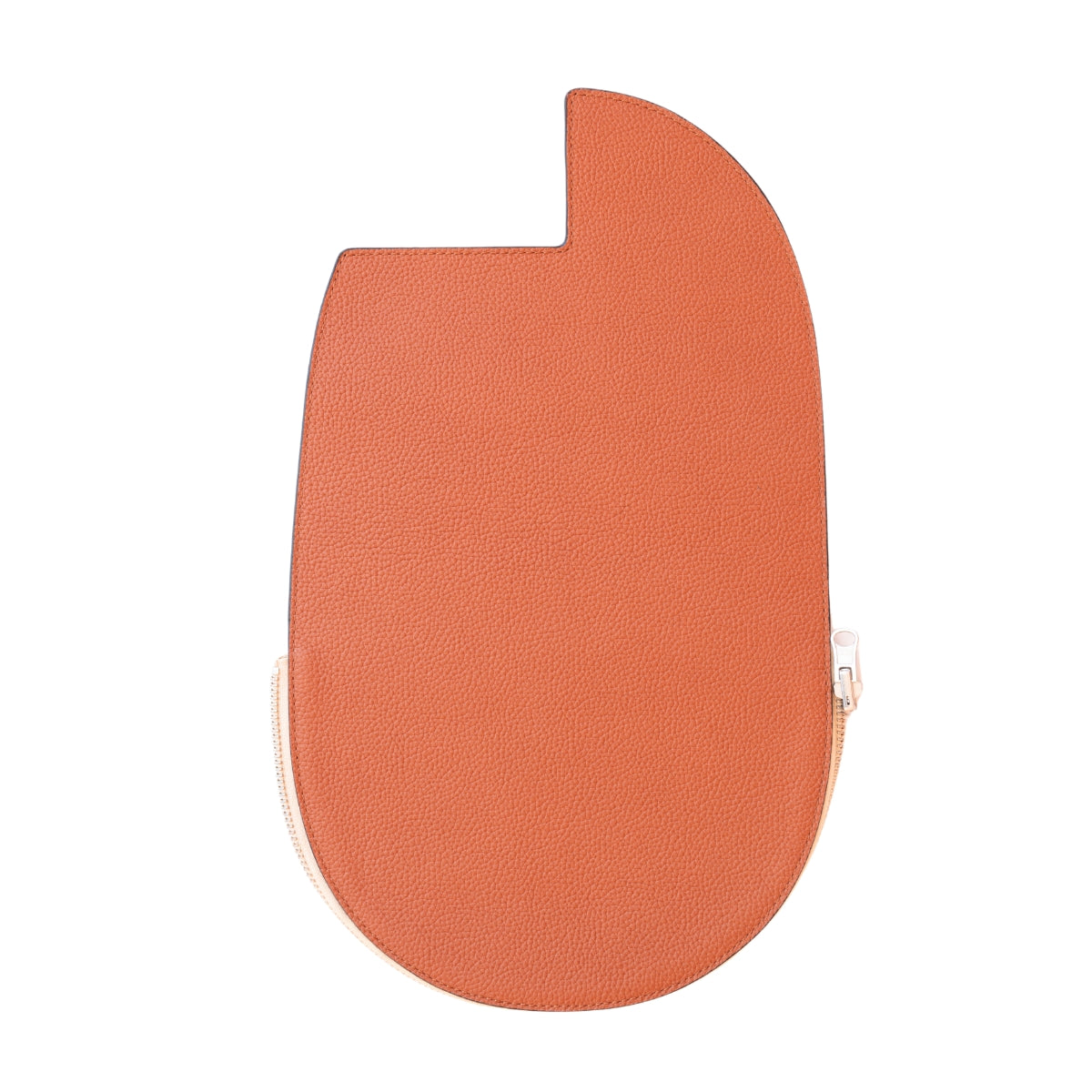 CIAO rear plate